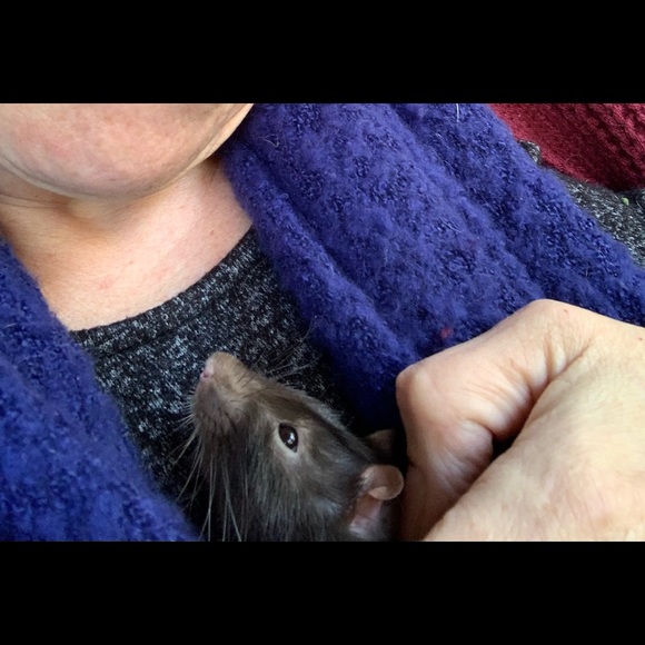 Meet your Posher, Lisa - Picture 2 of 7